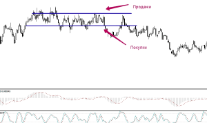 foreks-sovetniki-i-razmer-depozita-kak-vybrat-i-ne-poterjat-dengi