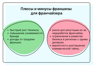 franshiza-dlja-nachinajushhih-predprinimatelej-preimushhestva-i-nedostatki